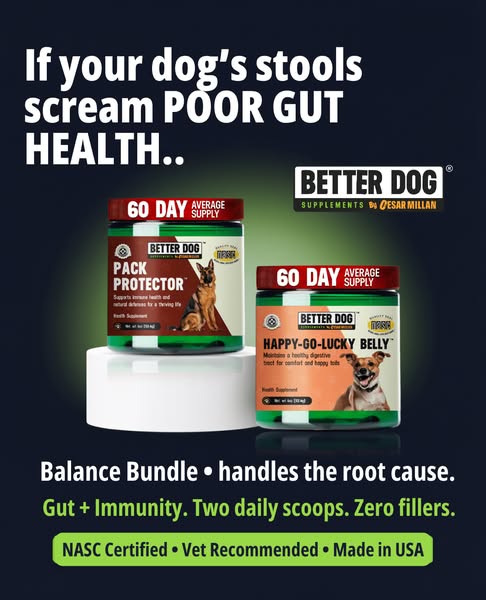 Cesar Millan ad