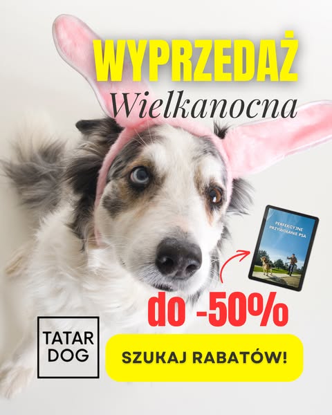 TATAR DOG - Krzysztof Tatar ad