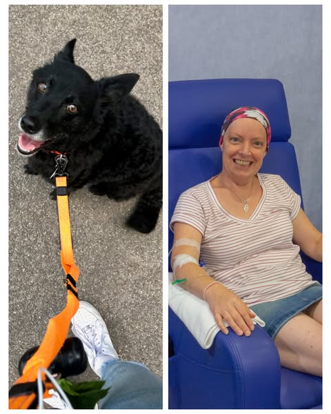 This ad is structured in a split screen format, showing the customer walking her dog on one side and then receiving trea