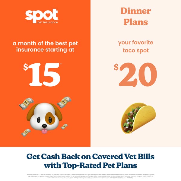 Spot Pet Insurance ad