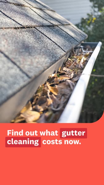 This ad is for gutter cleaning costs.