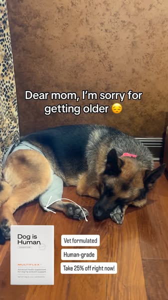 Dog is Human ad
