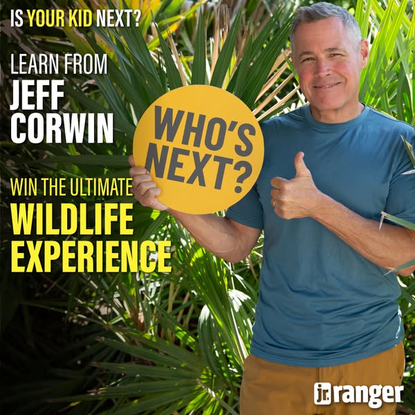 Jr. Ranger ad
