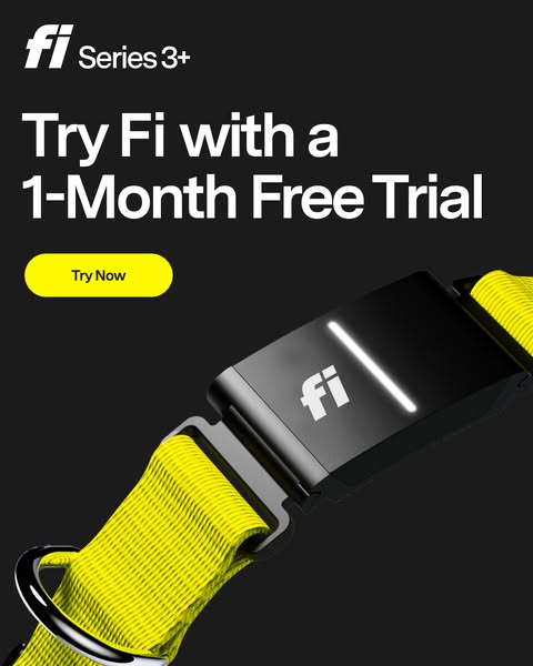 This ad promotes the Fi Series 3+ dog collar with a free month trial offer. The ad features a close-up of the collar aga