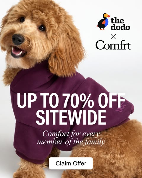 The Dodo ad