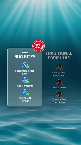 This Fluval ad compares Bug Bites fish food with traditional formulas. It highlights the superior ingredients and nutrit