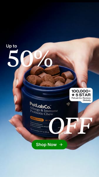 This image ad for PetLab Co. promotes their allergy and immune probiotic chews for small dogs, highlighting a discount o