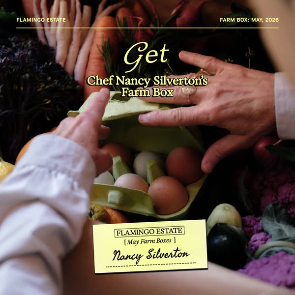Nancy Silverton ad