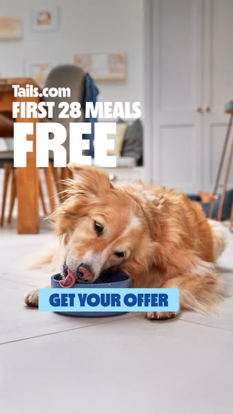 This ad for Tails.com features a golden retriever enjoying a meal, emphasizing the offer of the first 28 meals free to e