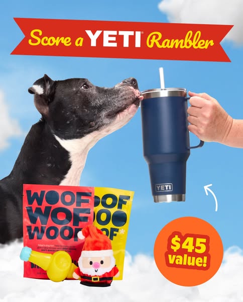 This image ad promotes a YETI Rambler tumbler as part of a giveaway, alongside dog toys and treats, set against a sky ba