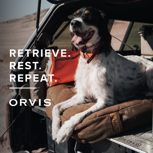 The ad features an Orvis dog bed. The image shows a dog sitting on the dog bed in the back of a vehicle with copy overla