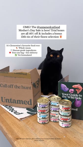 Clementine Meows ad