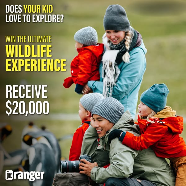 Jr. Ranger ad