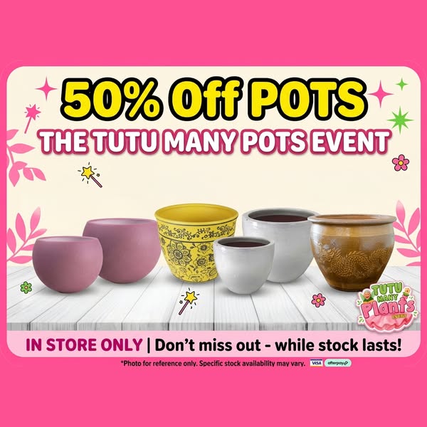 Hello Hello Plants Nursery ad