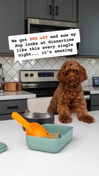 Silvz ad