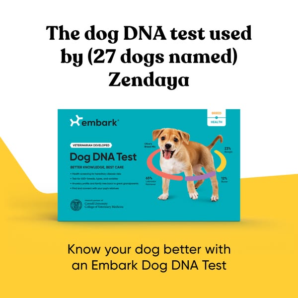 This image ad for Embark Dog DNA Test features a DNA testing kit positioned next to a dog and color coded rings around t