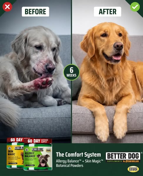 Cesar Millan ad