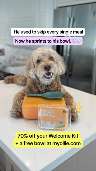Sampson the dood ad