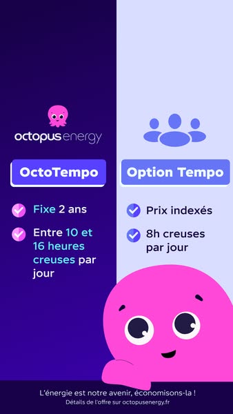 This ad compares two different options for Octopus Energy: OctoTempo and Option Tempo. The ad lists the features of each