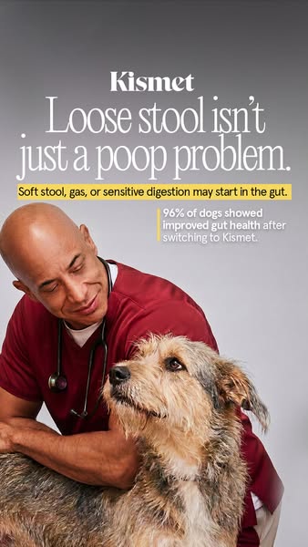 Dr. Kwane Stewart ad