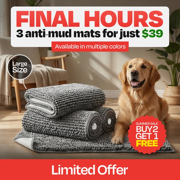 TJ The Frenchie ad