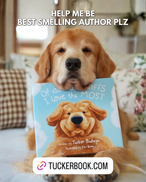 Tucker Budzyn ad