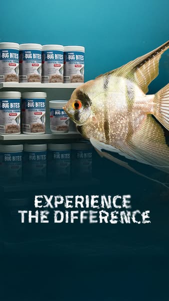 This ad features fish food and is targeted towards fish owners.