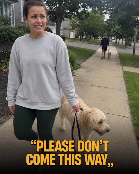 Tom Davis Dog Training ad