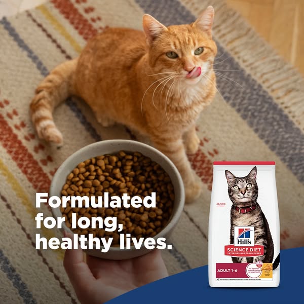 This ad features Hill's Science Diet cat food, emphasizing its formulation for long, healthy lives. It showcases an 