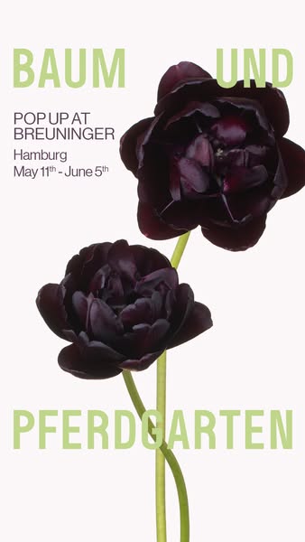 This image ad promotes a pop-up event for Baum Und Pferdgarten in Hamburg, Germany, from May 11th to June 5th, hosted at