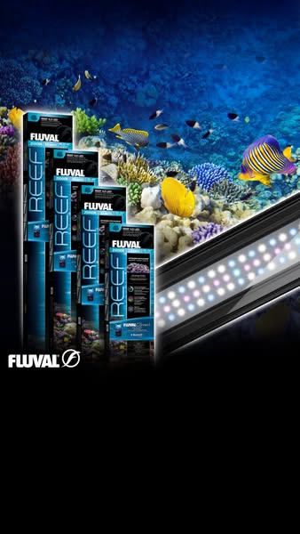 This ad showcases Fluval's Reef 3.0 LED lighting system, emphasizing its ability to enhance the vibrant colors of a 