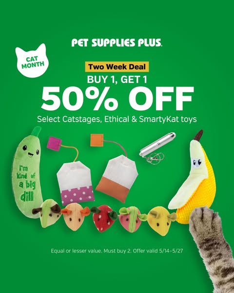 This is an ad for Pet Supplies Plus highlighting a Buy One Get One 50% off deal on select cat toys. Several cat toy desi