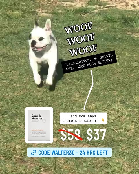 Walter Geoffrey ad