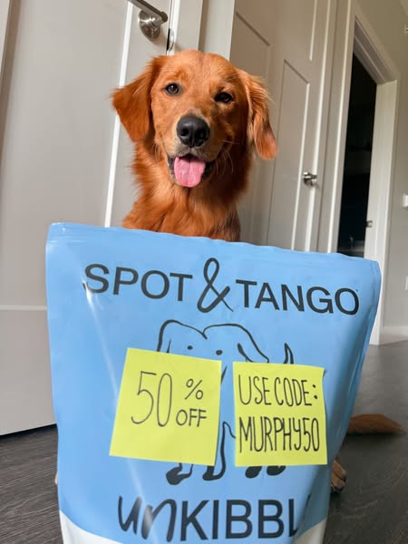 A photo of a golden retriever dog sits behind a light blue bag of dog food, with yellow sticky notes advertising a 50% o
