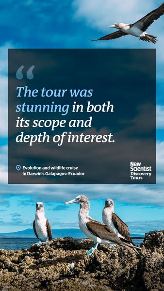 New Scientist ad