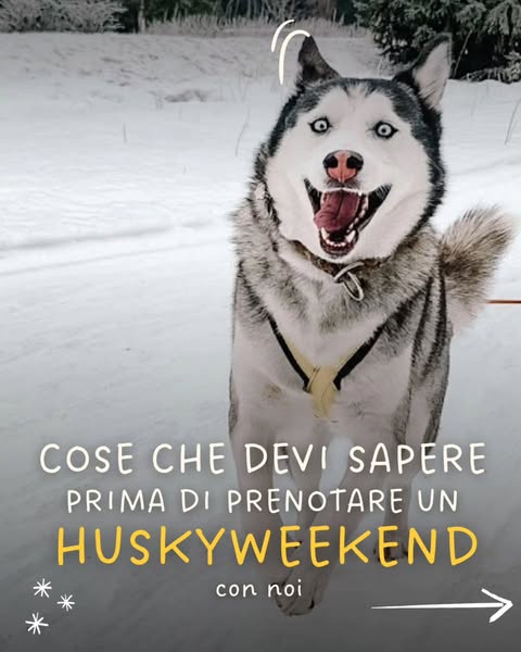 Donnecheviaggianocoilupi ad
