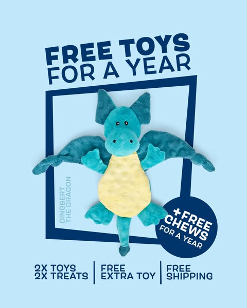 This ad promotes a product offer of free toys and chews for a year with the purchase of a BarkBox subscription. The main