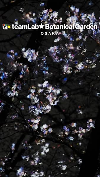 This ad showcases the teamLab Botanical Garden in Osaka, Japan with a dark but vibrant photo of the outdoor attraction a