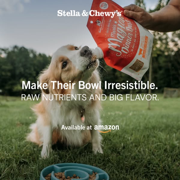 An outdoor shot of a man pouring Stella & Chewy's food topper onto a dog's wet food. The ad attempts to pers