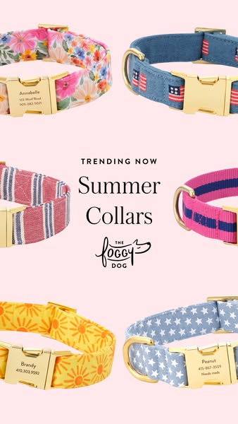 This is a product ad promoting dog collars. The ad features six different summer-themed collars in the shape of a produc