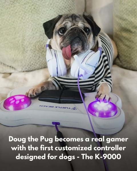 Doug The Pug ad