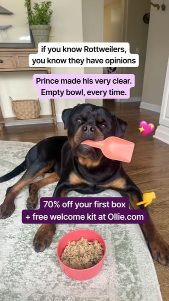 Prince with Paws ad