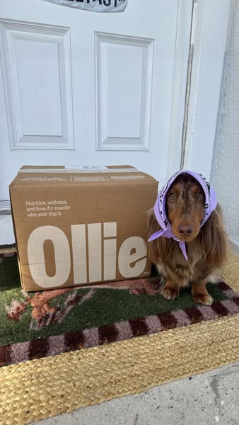 Indytheminidoxie ad