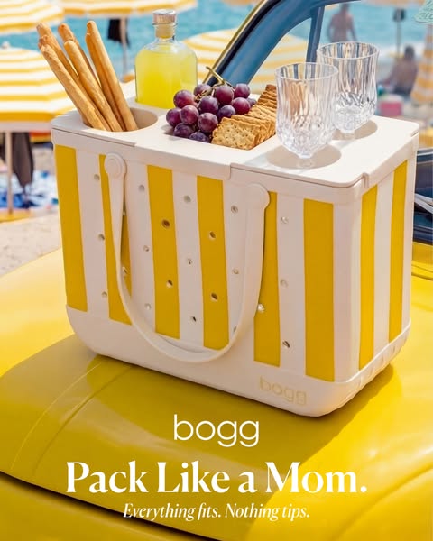 An image ad for the Bogg Bag cooler. The ad highlights the cooler's ability to hold all the essentials for a family 