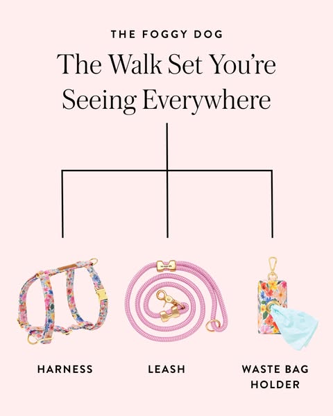 This image ad showcases a matching set of dog walking accessories in a flat lay style. The accessories include a harness