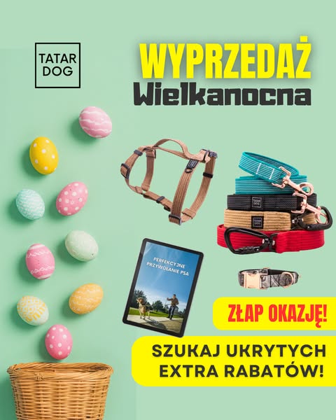 TATAR DOG - Krzysztof Tatar ad