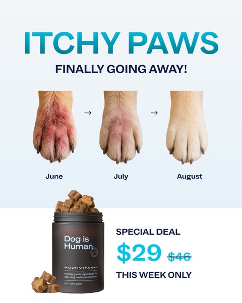 Dog is Human ad