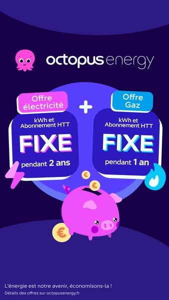 This ad promotes Octopus Energy, featuring a fixed price electricity and gas offer. It features a piggy bank and emphasi