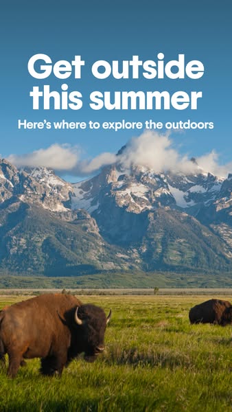 This image ad encourages viewers to explore the outdoors this summer. The ad features a wide shot of bison in a grassy f
