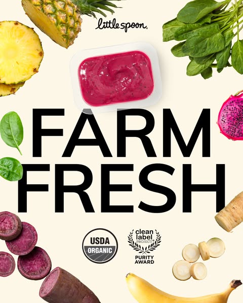 This ad showcases Little Spoon's baby food puree, emphasizing its farm-fresh, organic ingredients and purity. The ad